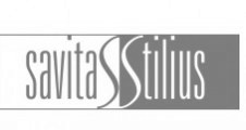 Savitas stilius